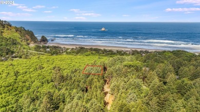 Beach Lot For Sale in Arch Cape, Oregon