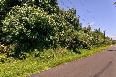 Beach Lot For Sale in Pahoa, Hawaii