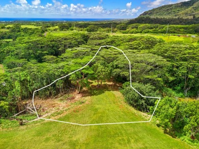 Beach Acreage For Sale in Kapaa, Hawaii