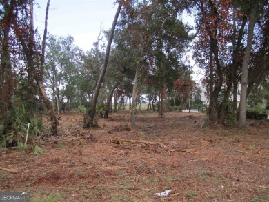 Beach Lot For Sale in Saint Marys, Georgia