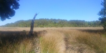 Beach Lot Off Market in Mount Pleasant, South Carolina