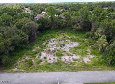 Beach Lot For Sale in Lehigh Acres, Florida