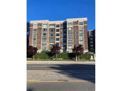Beach Condo For Sale in Detroit, Michigan