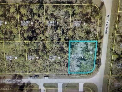 Beach Lot For Sale in Lehigh Acres, Florida
