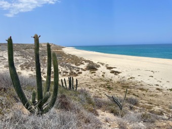 Beach Lot Off Market in East Cape, Baja California Sur, Mexico