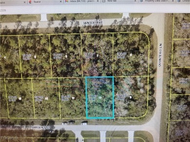 Beach Lot For Sale in Lehigh Acres, Florida