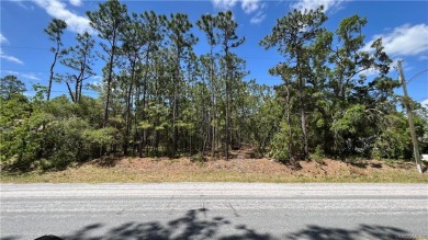 Beach Lot Off Market in Homosassa, Florida