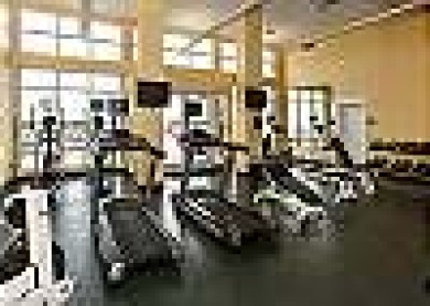 Condo For Rent in Panama City Beach image photo picture