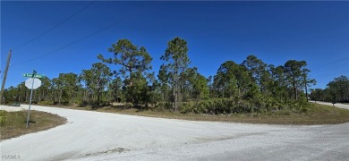 Beach Lot For Sale in Punta Gorda, Florida