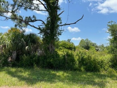 Beach Lot For Sale in Port Charlotte, Florida