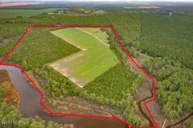 Beach Acreage Off Market in Oriental, North Carolina