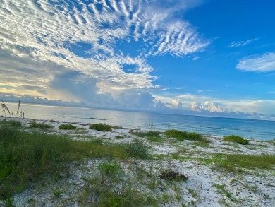 Beach Lot Sale Pending in Carabelle, Florida
