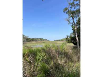 Beach Acreage For Sale in Edisto Island, South Carolina