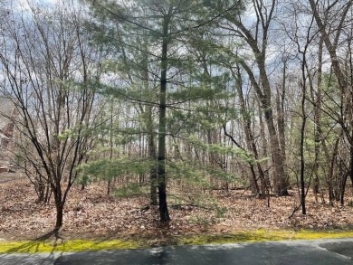 Beach Lot For Sale in New Buffalo, Michigan
