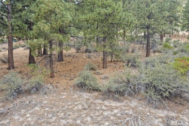 Beach Lot Off Market in Carson City, Nevada