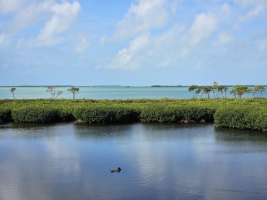 Beach Townhome/Townhouse For Sale in Key Largo, Florida