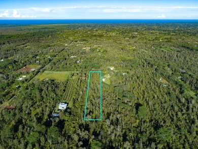 Beach Acreage For Sale in Keaau, Hawaii