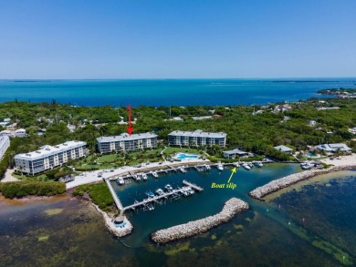 Beach Condo For Sale in Plantation Key, Florida