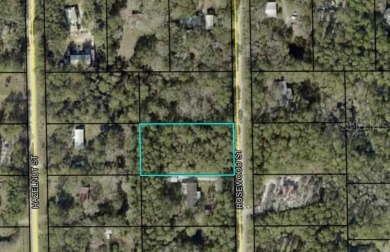 Beach Lot For Sale in Bunnell, Florida