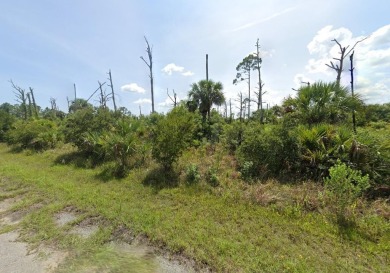 Beach Lot For Sale in North Port, Florida