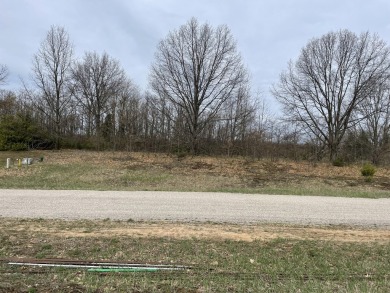 Beach Lot For Sale in Shelby, Michigan