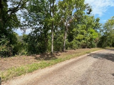 Beach Lot For Sale in Grosse Ile, Michigan