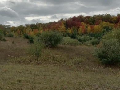 Beach Acreage For Sale in Shelby, Michigan