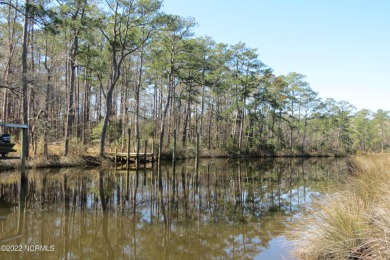 Beach Acreage For Sale in Oriental, North Carolina