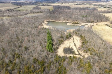 Beach Acreage For Sale in Osseo, Michigan