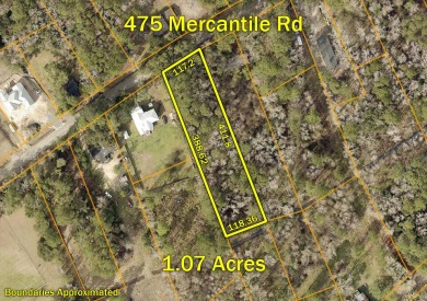 Beach Lot For Sale in Mcclellanville, South Carolina