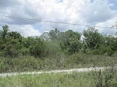 Beach Lot For Sale in Vero Beach, Florida