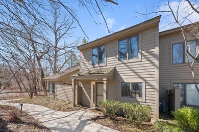 Beach Condo For Sale in New Buffalo, Michigan