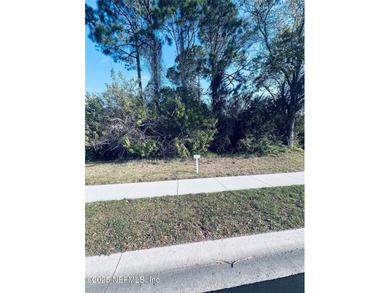 Beach Lot For Sale in Palm Coast, Florida