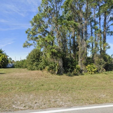 Beach Lot For Sale in Cape Coral, Florida
