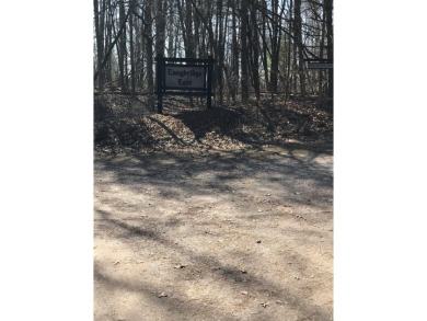 Beach Lot For Sale in Pentwater, Michigan