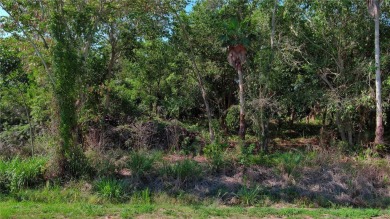 Beach Acreage For Sale in Terra Ceia, Florida