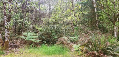 Beach Lot For Sale in Ocean Park, Washington