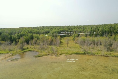 Beach Lot For Sale in Hessel, Michigan