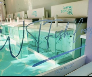 Beach Lot For Sale in Key West, Florida