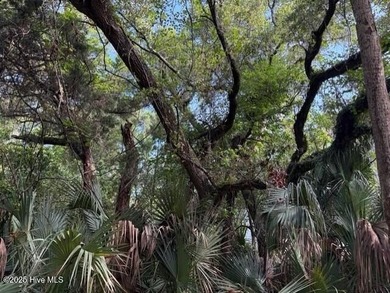 Beach Lot For Sale in Bald Head Island, North Carolina