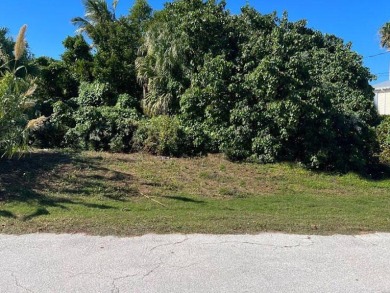 Beach Lot For Sale in Marathon, Florida