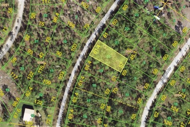 Beach Lot For Sale in Punta Gorda, Florida