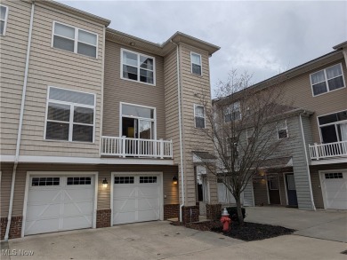 Beach Condo For Sale in Cleveland, Ohio