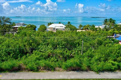 Beach Lot For Sale in Summerland Key, Florida