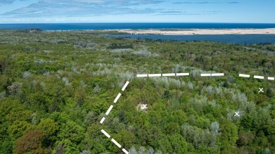 Beach Acreage For Sale in Mears, Michigan