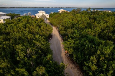 Beach Home For Sale in Summerland Key, Florida