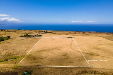 Beach Acreage For Sale in Kapaau, Hawaii