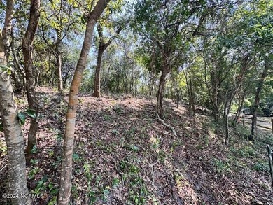 Beach Lot For Sale in Surf City, North Carolina