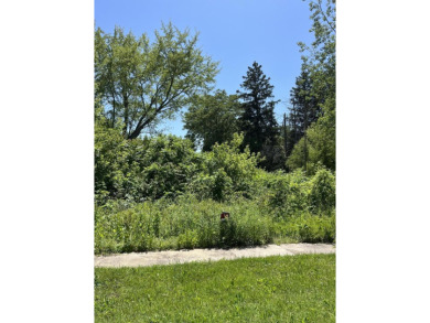 Beach Acreage For Sale in Covert, Michigan
