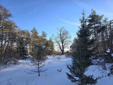 Beach Lot For Sale in Harbor Springs, Michigan